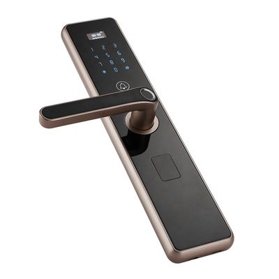 Ce Hidden Key Lỗ 508dpi Sinh trắc học vân tay Khóa cửa thông minh Khóa tay nắm cửa thông minh