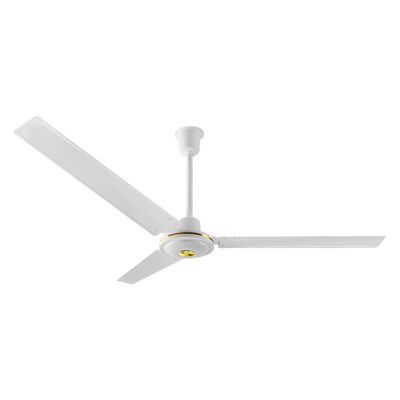 Quạt trần Delux Model Giá rẻ hơn và Chất lượng tốt nhất Quạt kim loại được sử dụng thương mại